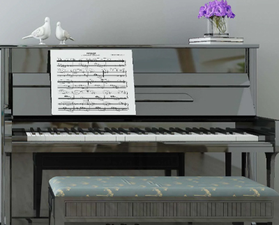 揚州市廣陵區和平琴行